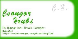 csongor hrubi business card